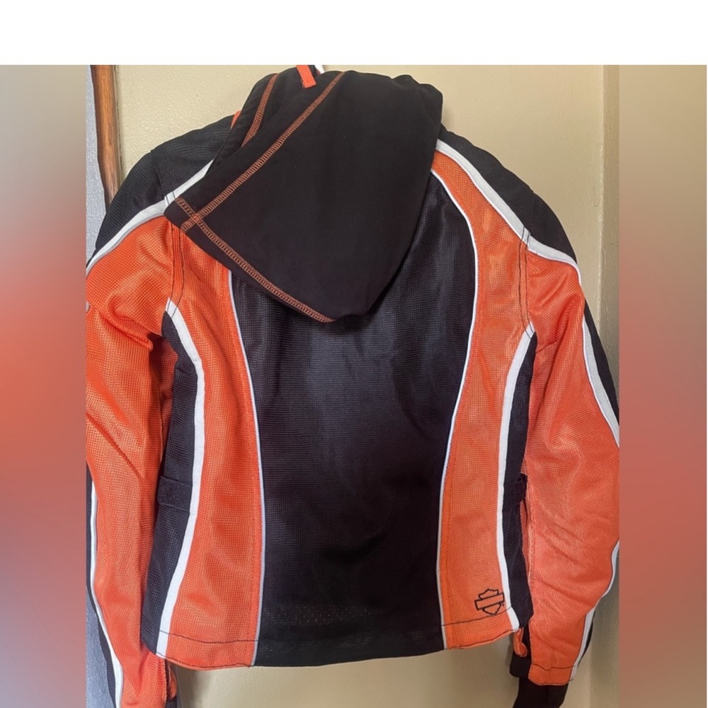 HARLEY DAVIDSON - Picture 4 of 6